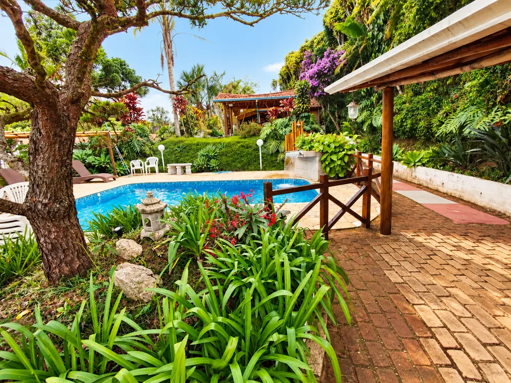 Piscina vista do jardim, com árvore grande e caminho de tijolo